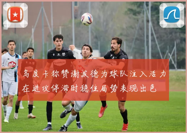 乌度卡称赞谢泼德为球队注入活力在进攻停滞时稳住局势表现出色