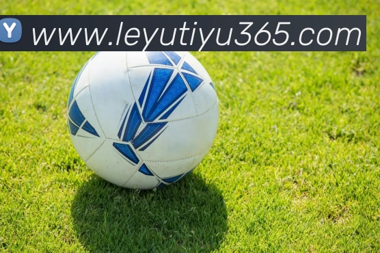 乐鱼体育平台生态图