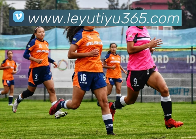 乐鱼体育APP 封面图